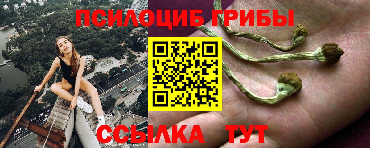 Галлюциногенные грибы Psilocybine cubensis Соль-Илецк