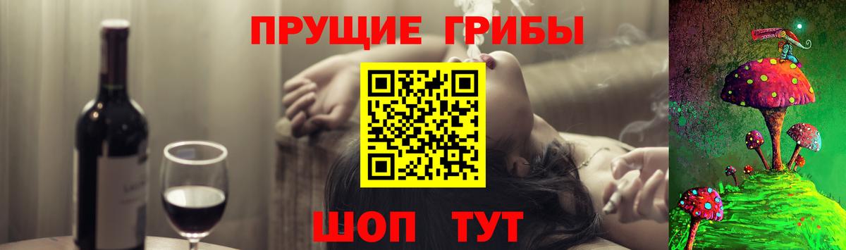 Галлюциногенные грибы мухоморы  Вход с VPN  Соль-Илецк 